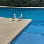 Balcon Sobre El Mar