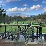 Casa Perro Andaluz