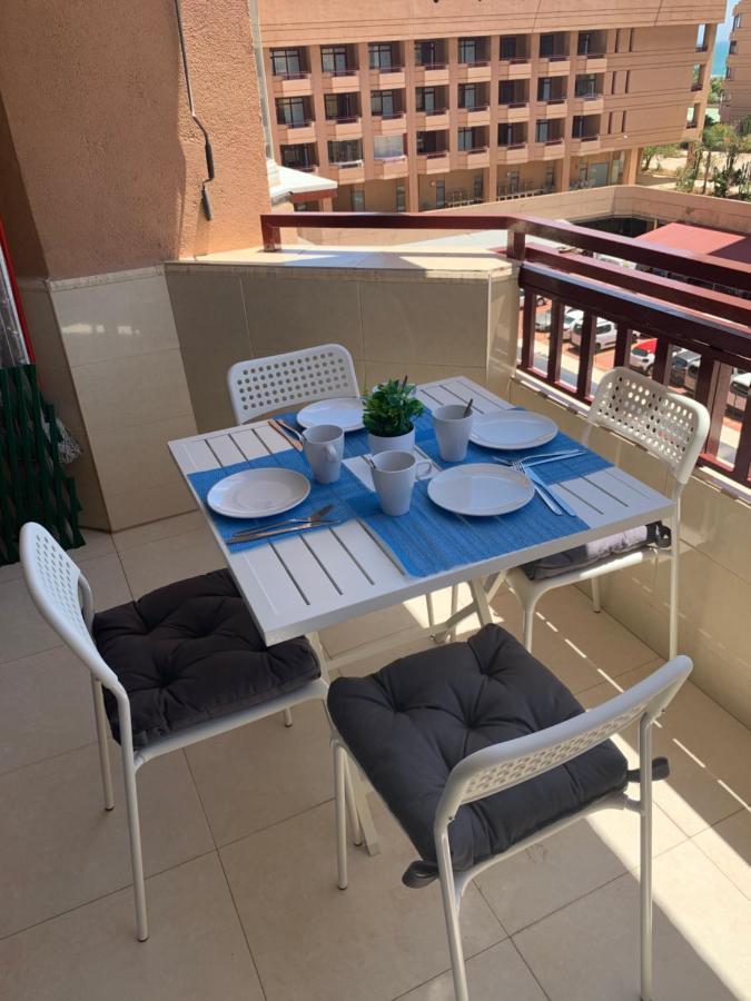 Palmeras * Fuengirola