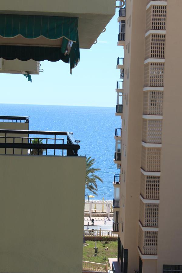 Gaviotas *