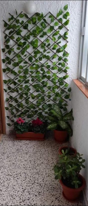 Sunshiny Costa Del Sol - Apartment *