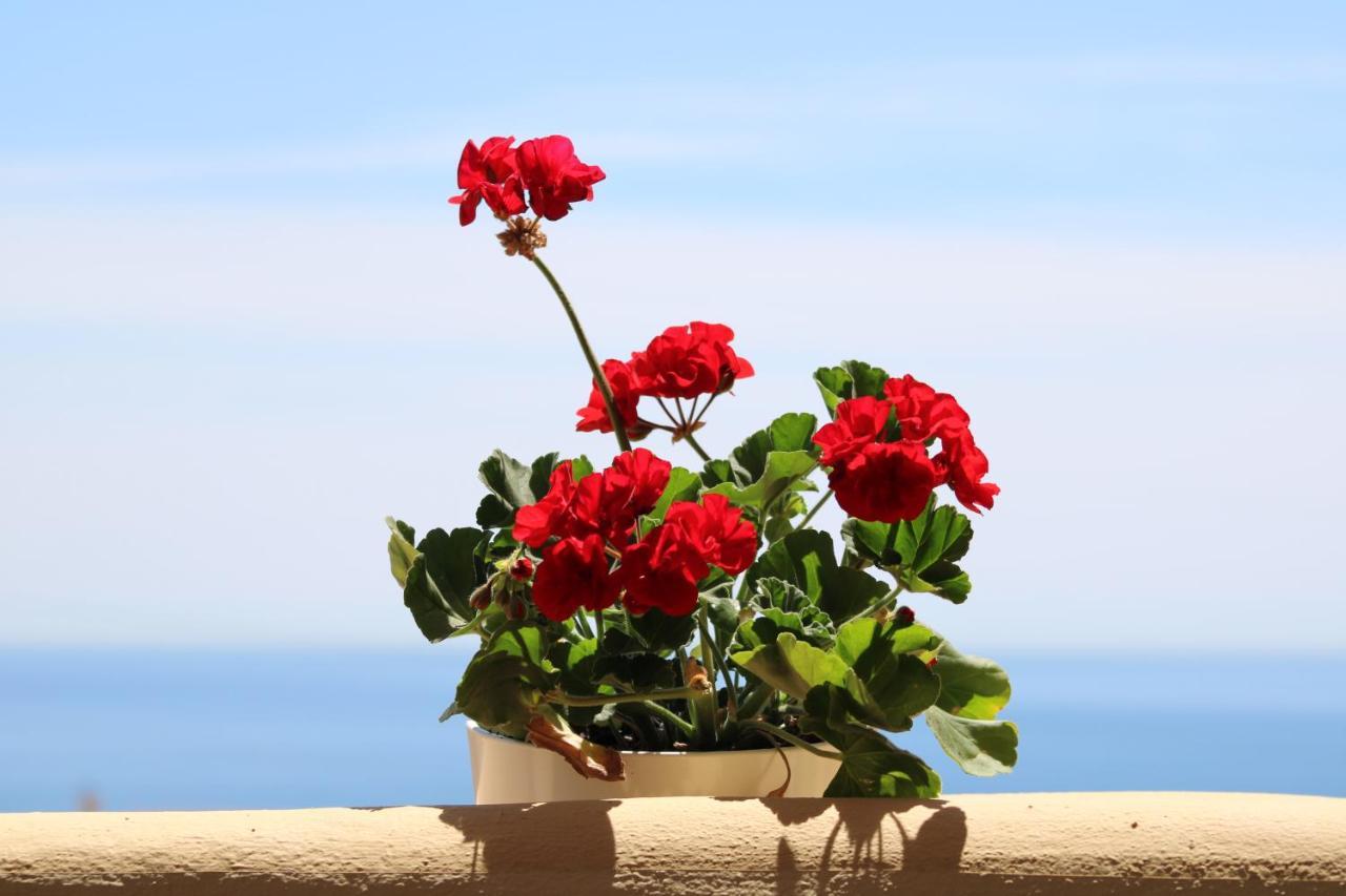 Amazing Sea View Huoneisto Fuengirola