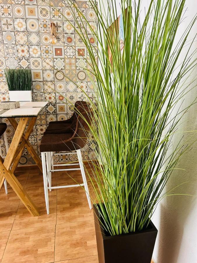 Apartment Boutique Flat With Terrace