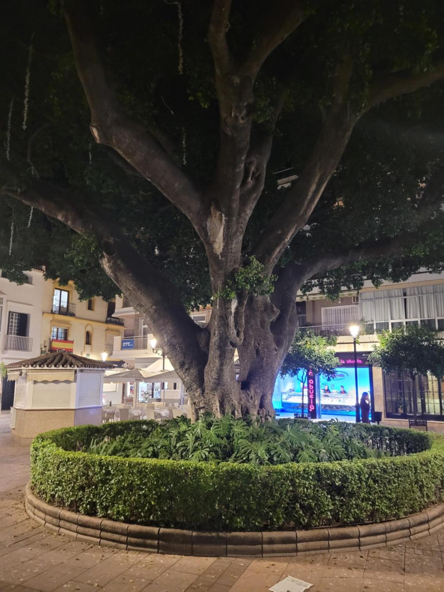 Apartamento Center Sweet&beach