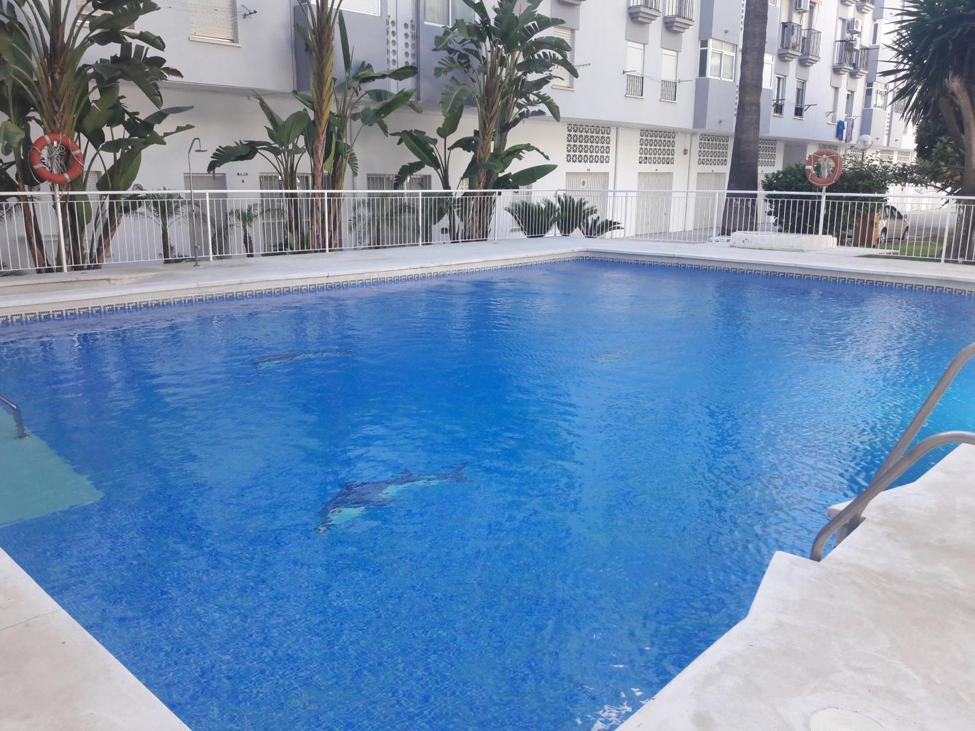 Appartement La Siesta *