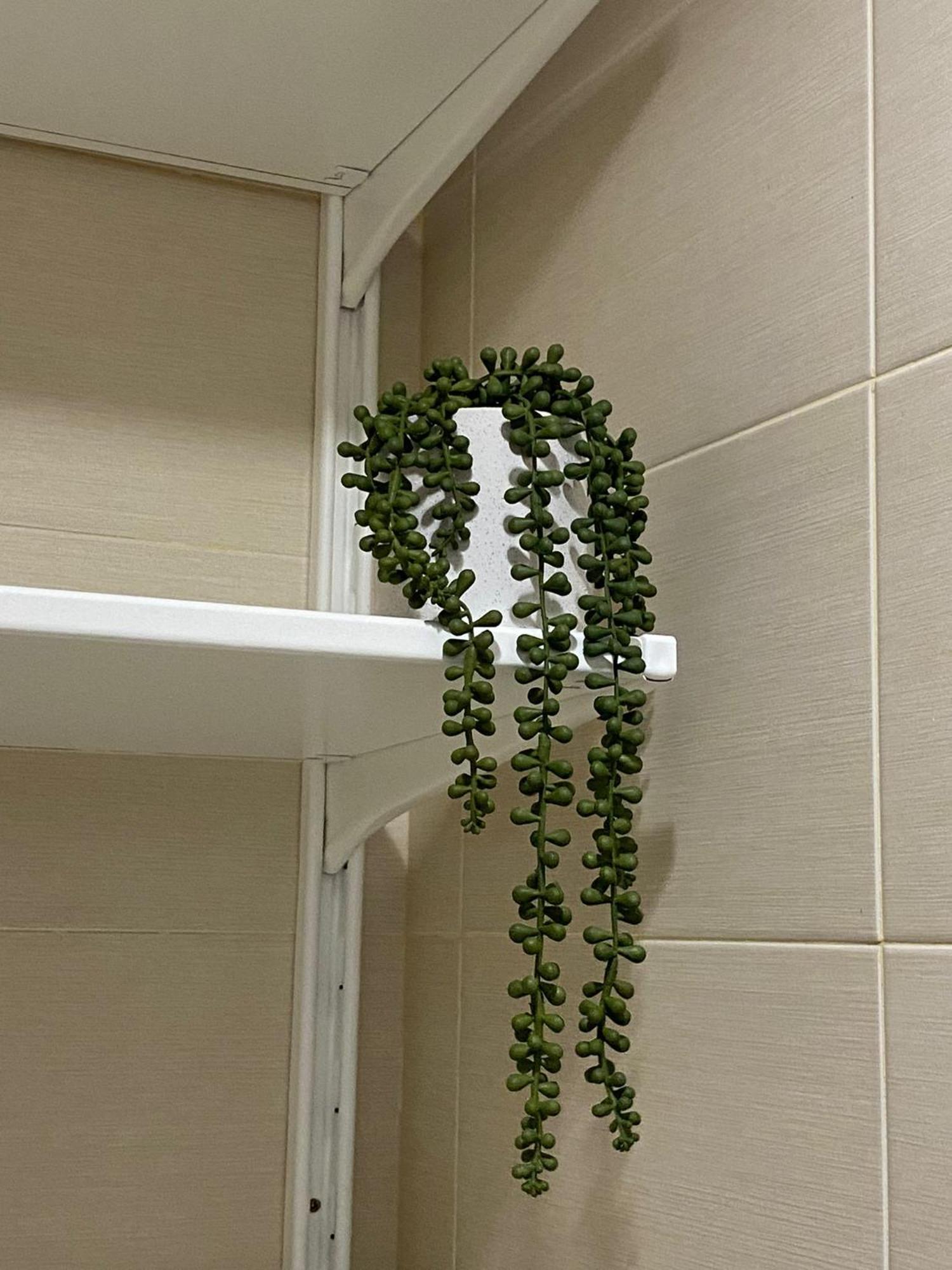 Apartamento Carvajal *