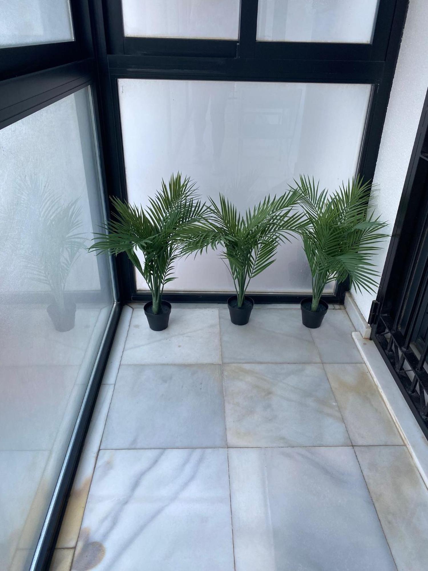 Carvajal Apartment *