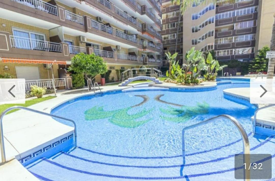Beautiful Suite, Ideal Familias, Palm *