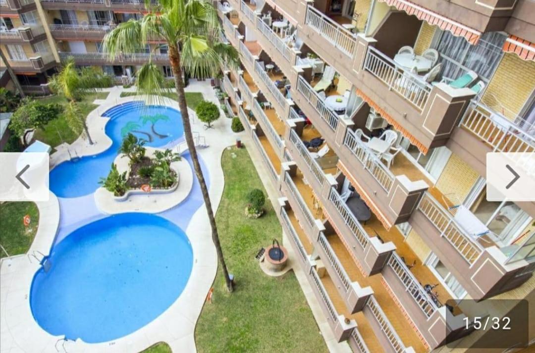 Beautiful Suite, Ideal Familias, Palm