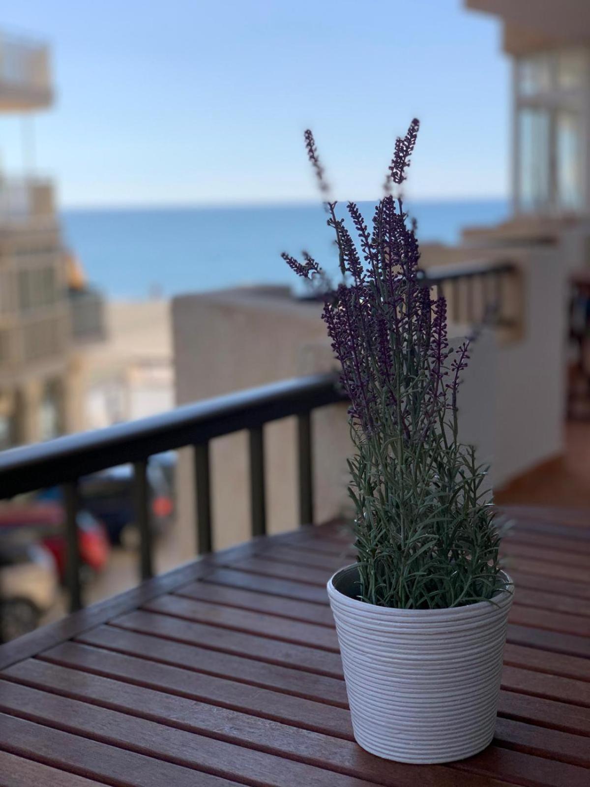 Apartment Beach De Luxe *