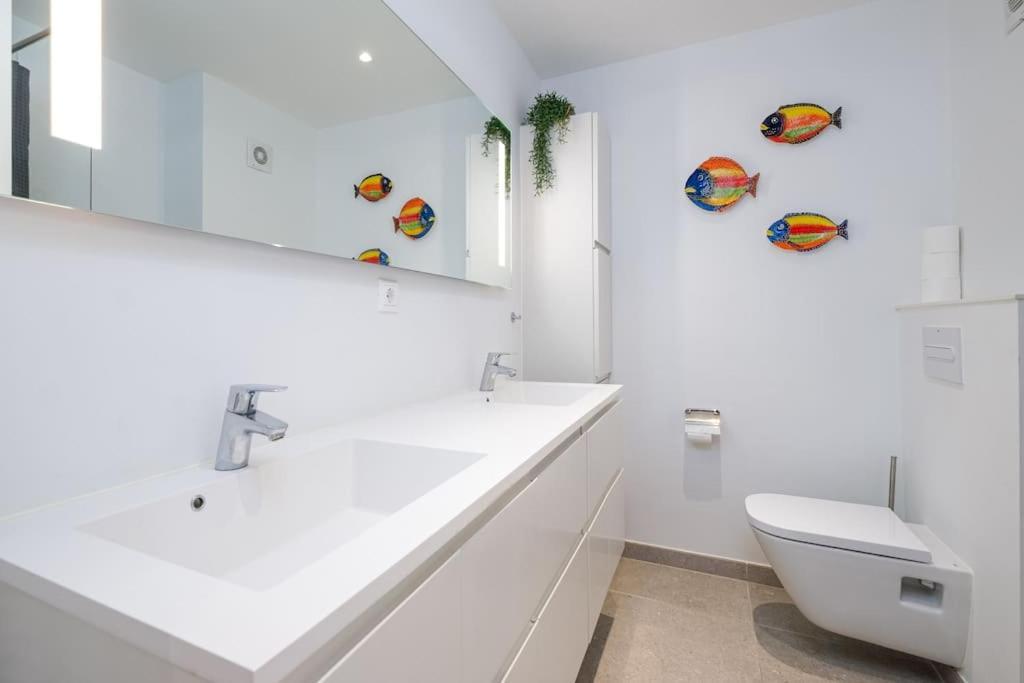 Apartment 119-magnificent Front Apartment,
