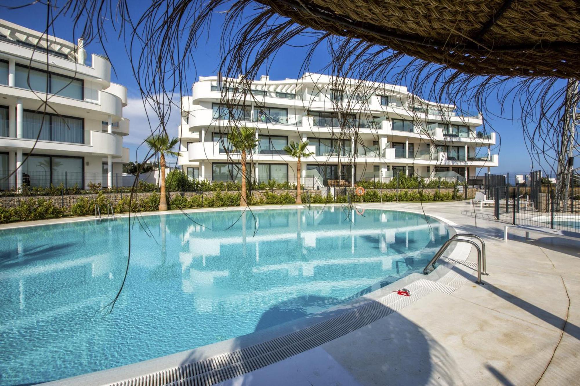 Vivi Homes - Cameron Pool, Patio, Garden &