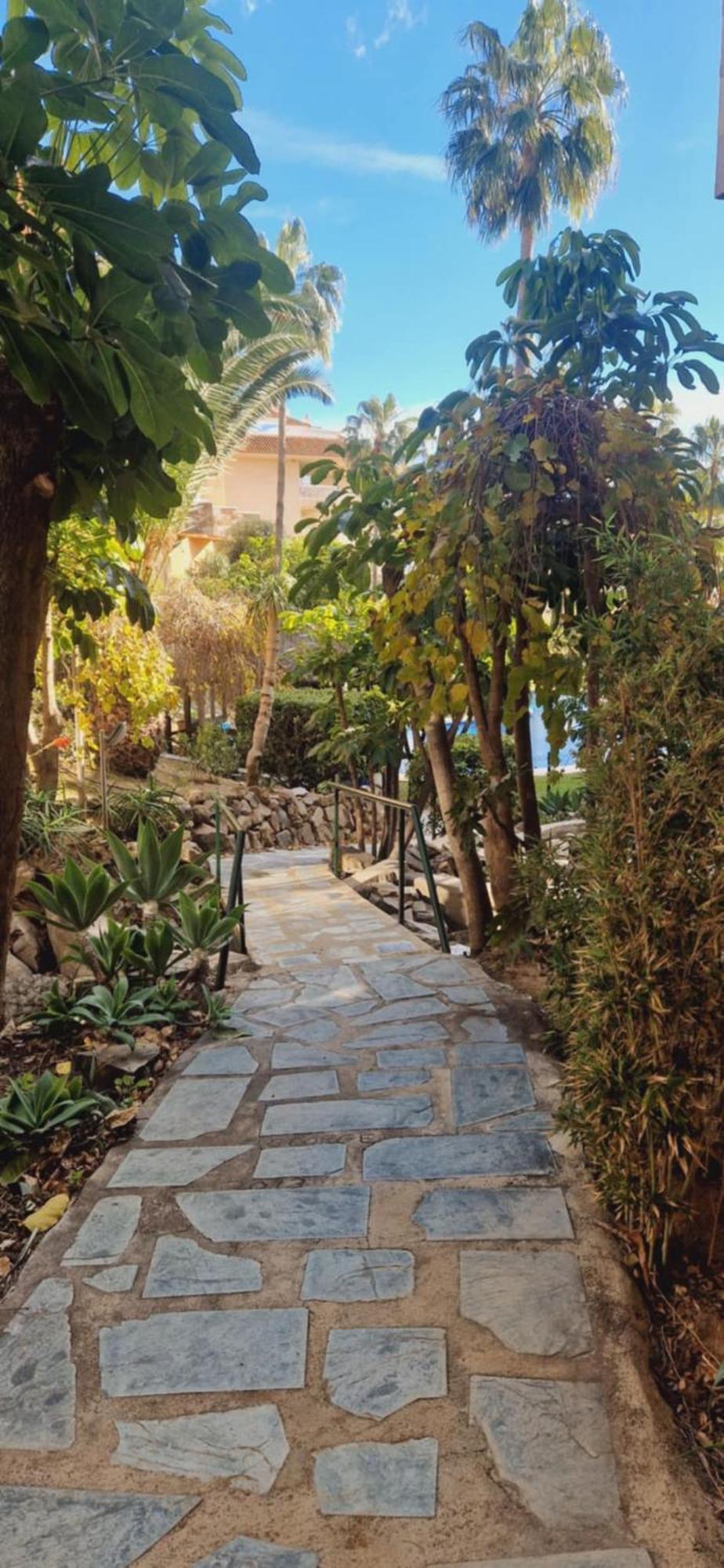 Reserva Del Higueron Palm And Pool *
