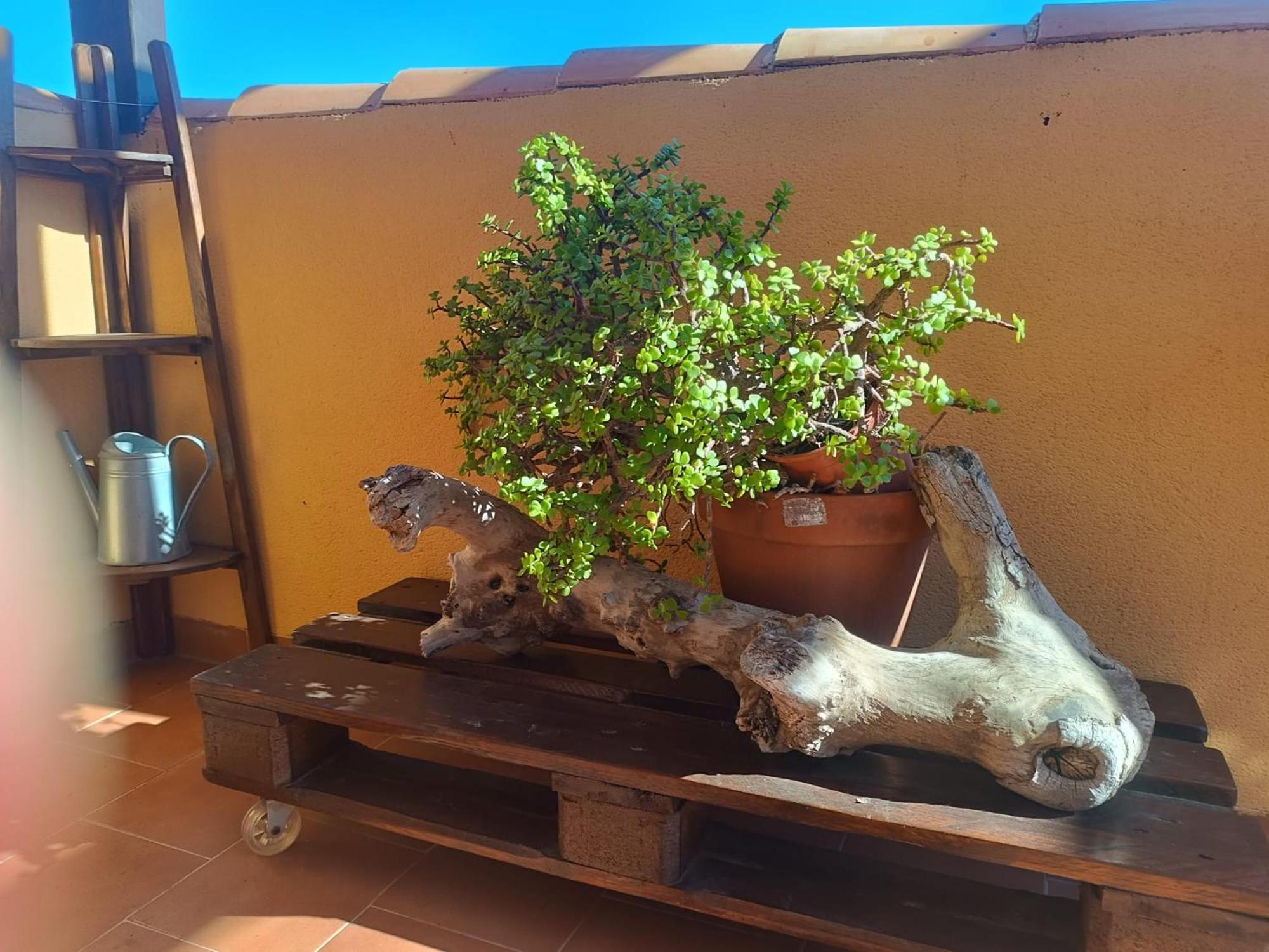 Volveremos Appartement Fuengirola
