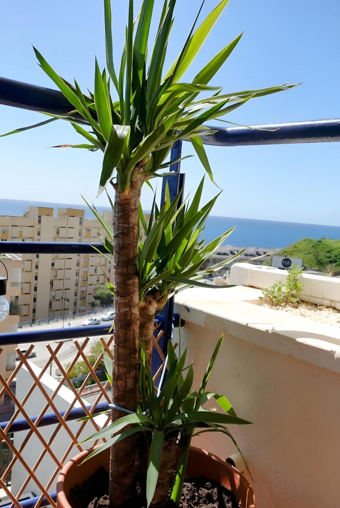 Horizon Apartment Fuengirola