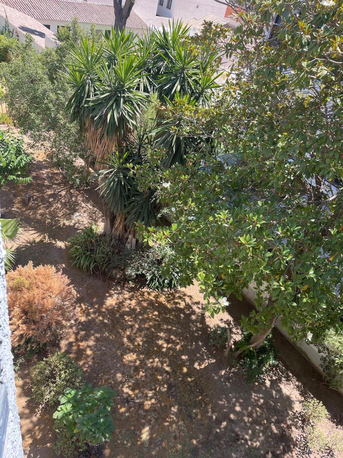 Appartement Beautiful 3 Bedrooms, 2 Baths, Balcony, *