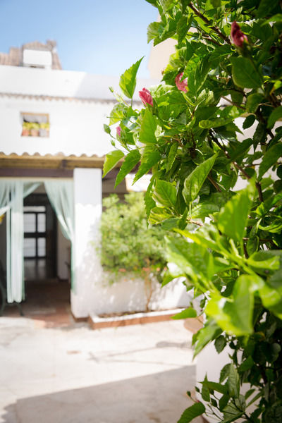 Holidays 2 Apartamento