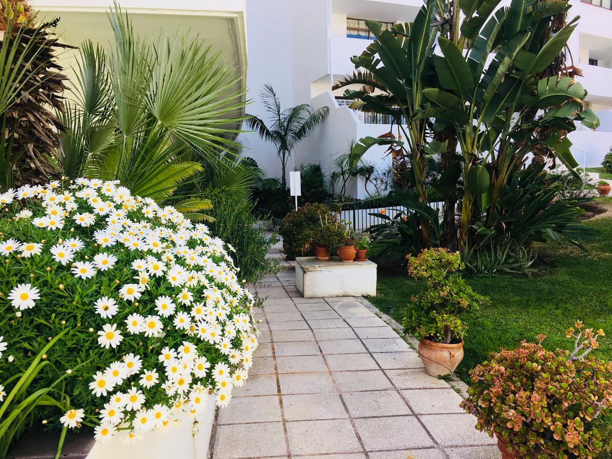 Toreblanca Lux Apartamento