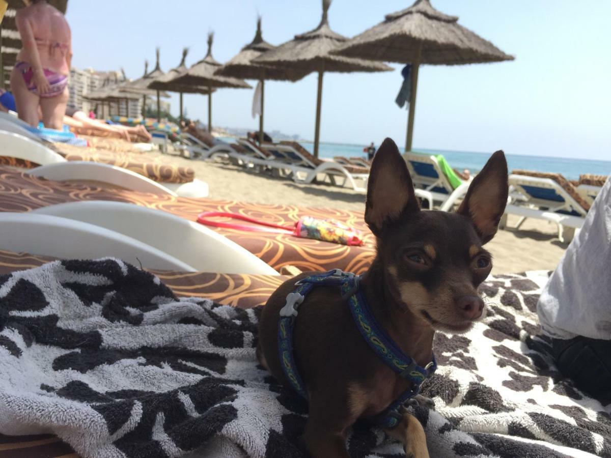 Urbanza City Center And Beach Apartment * Fuengirola
