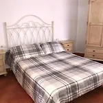 Pauli