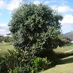Beautiful Apt With Golf & Lake Views Mijas Golf
