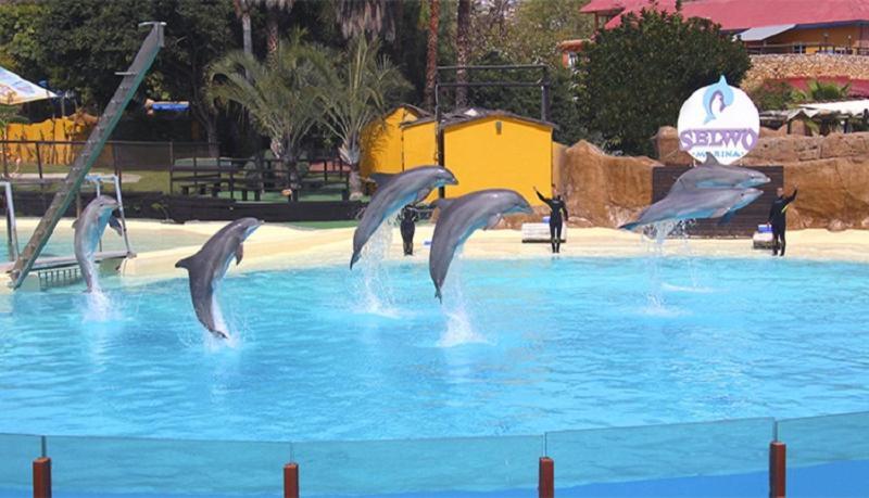 Paseo Maritimo Boliches. Fuengirola