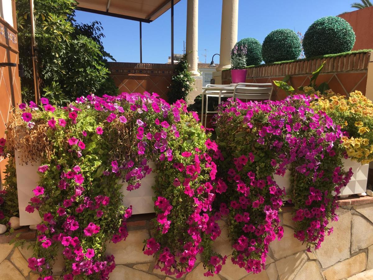 With Private Patio Fuengirola