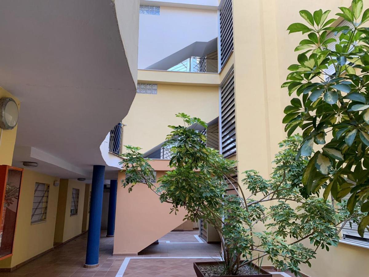 Playa San Rafael Appartement