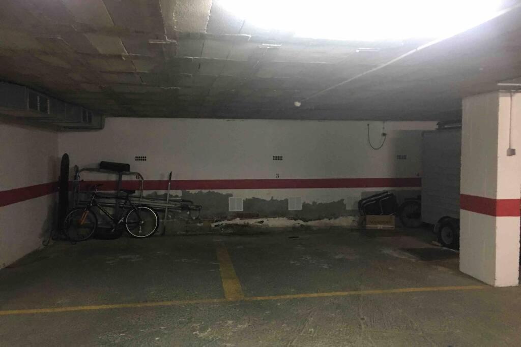 Apartment In 1st Line