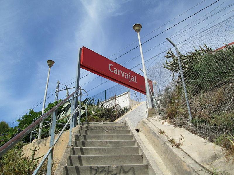 In 1st Line Fuengirola
