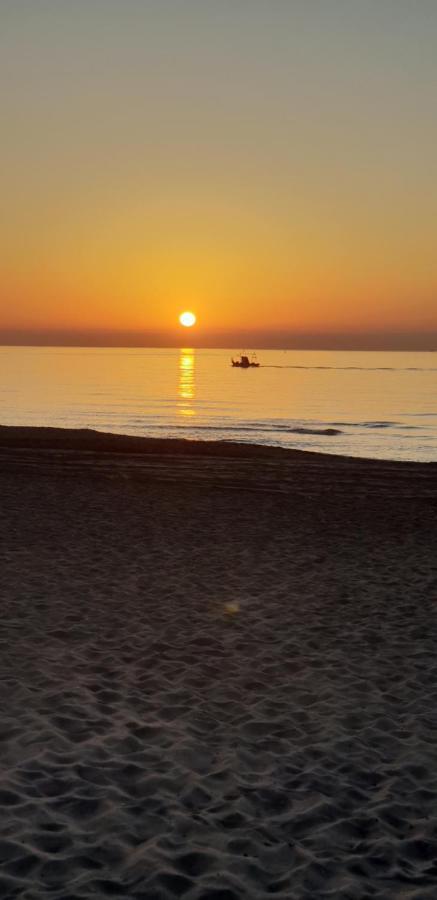 Paradise Buenavista Fuengirola