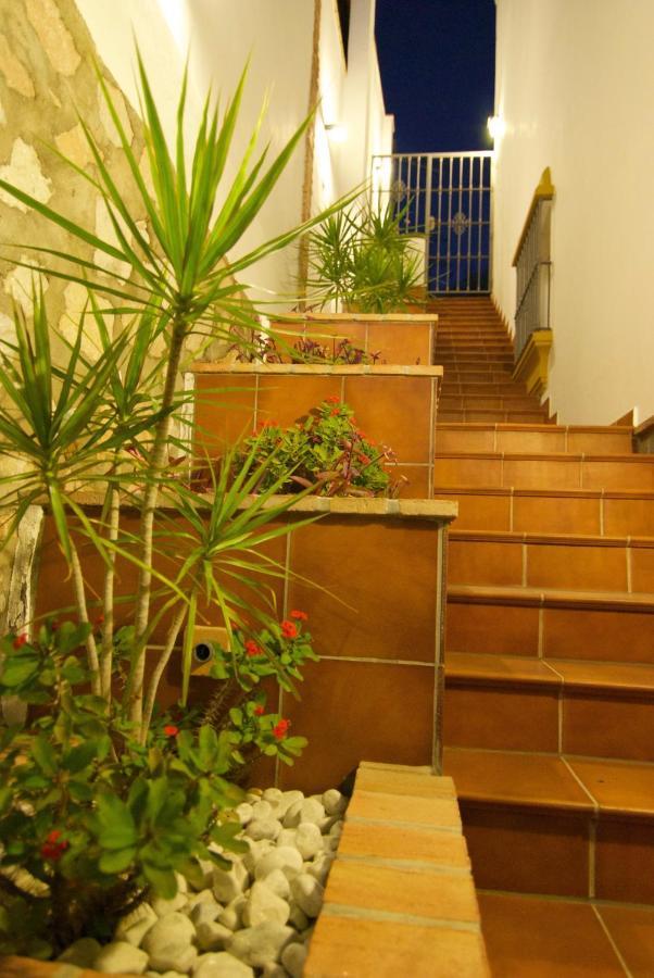 Appartement Casa Amalia