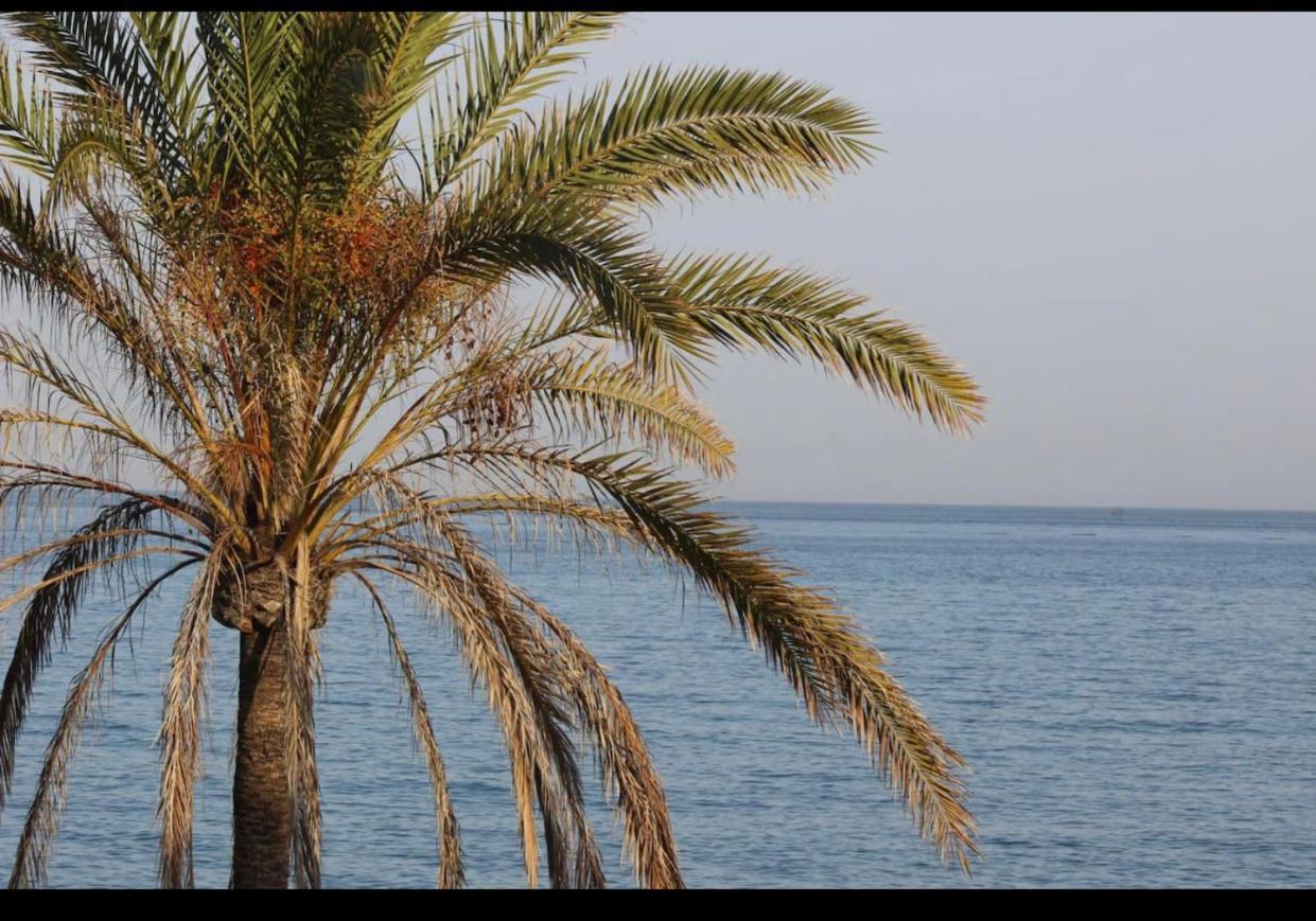 Сasa de vacaciones Lujosa Vivienda En Primera Línea De Playa *