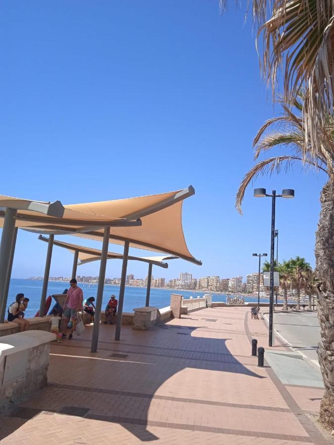 Apartment Garden With Sea View In