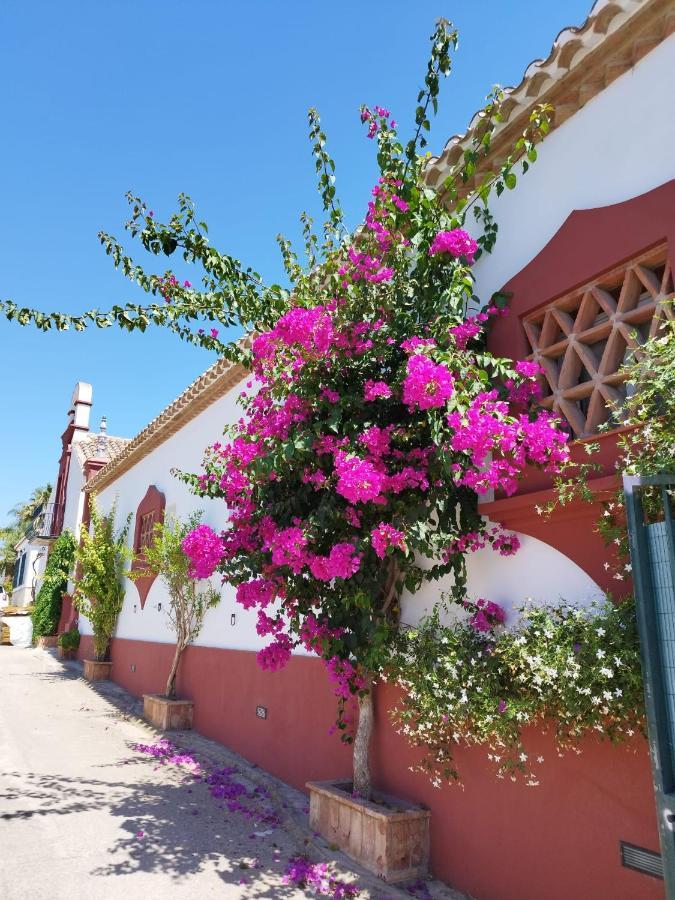Holiday home El Altabacar - - Playa Fuengirola