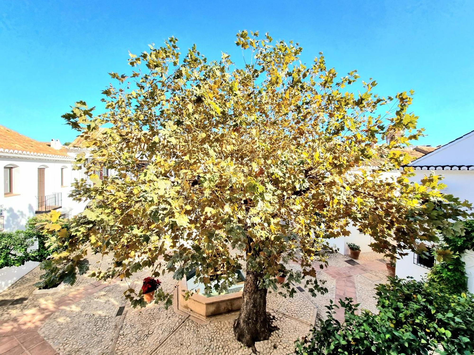 Downtown Pueblo Lopez Eco In Center * Fuengirola