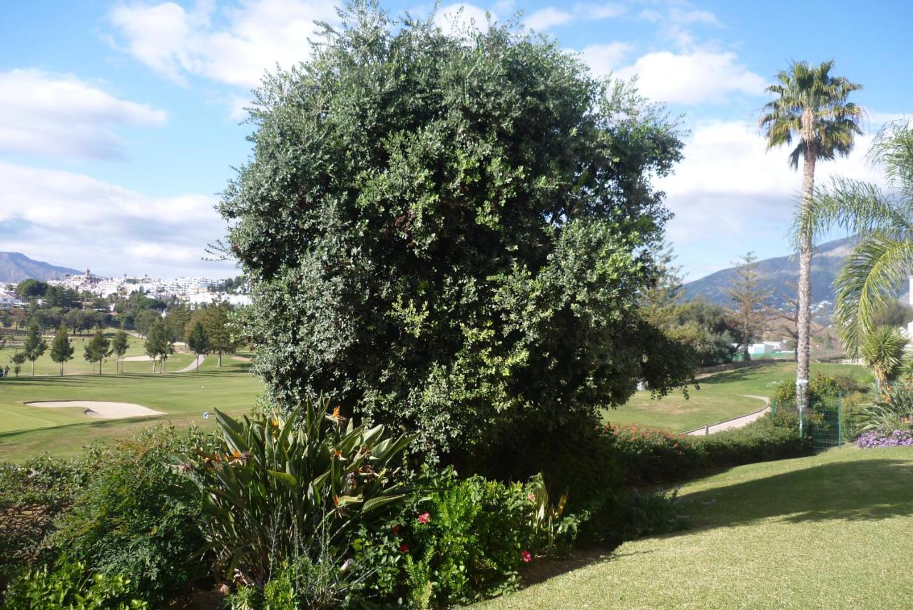 Apartment Beautiful With Golf & Views Mijas Golf