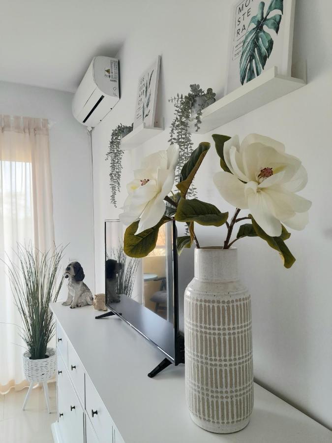 New In Pacos Apartment