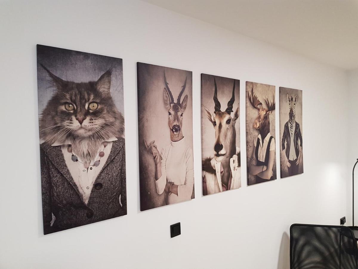 Apartamento Julia Huoneisto