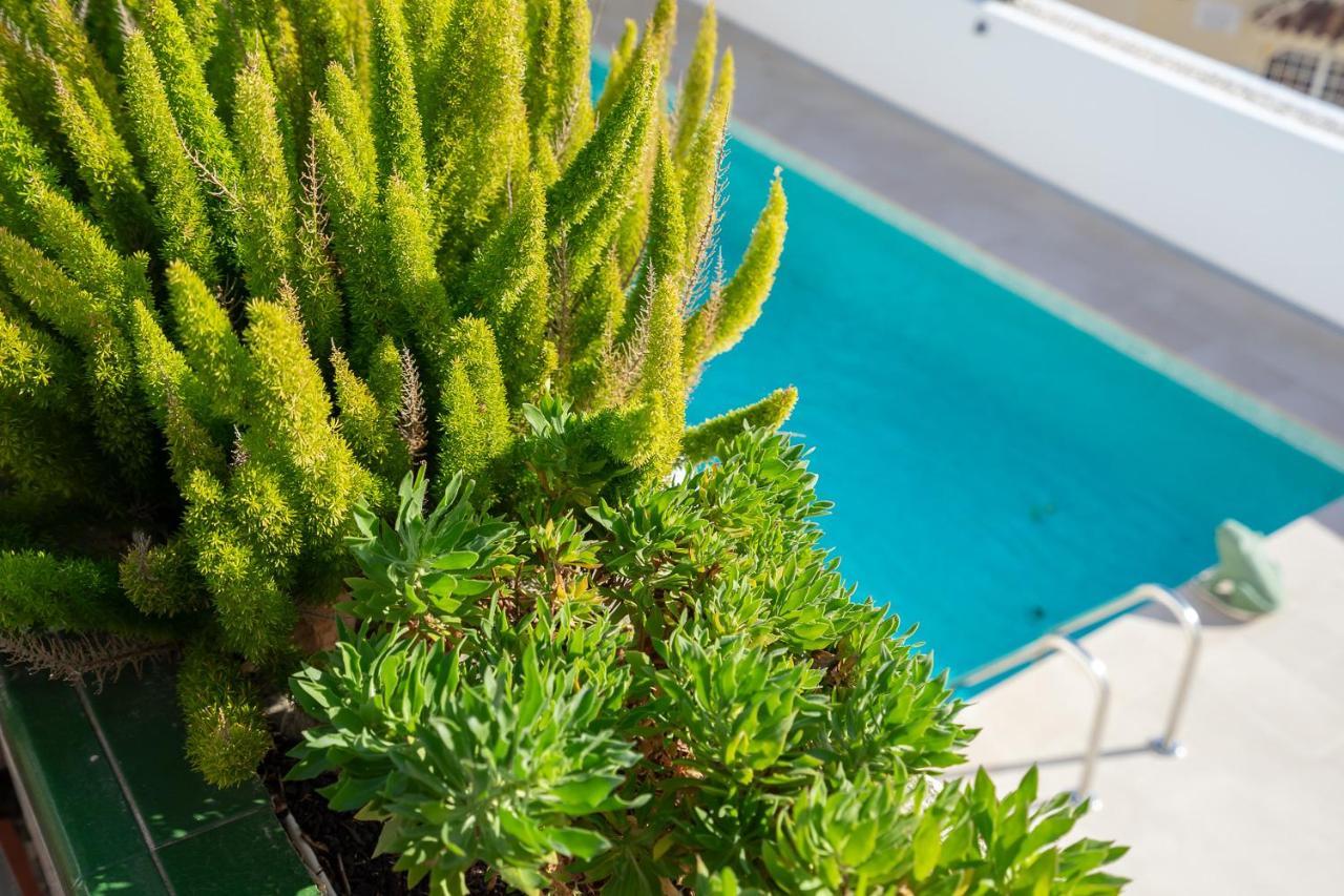 Stunning Seaview In Torreblanca Private Pool By Costarentals - Ref 110 Fuengirola