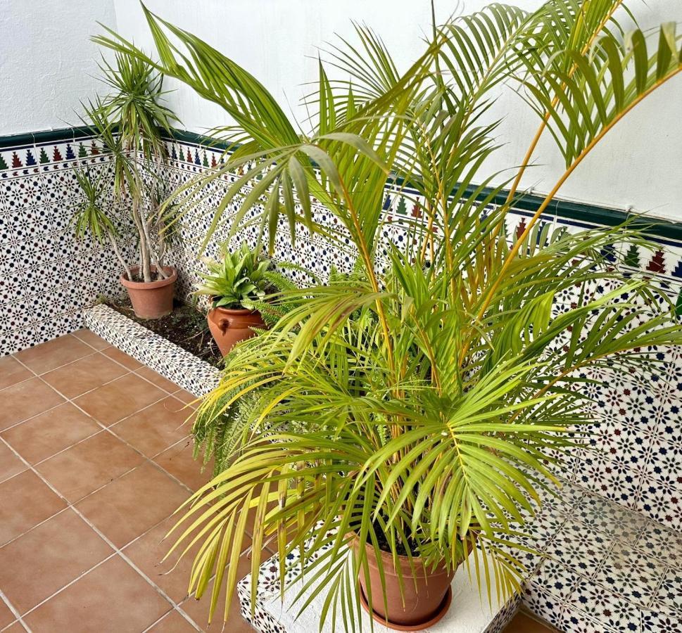Casa Centro Mar Y Sol *