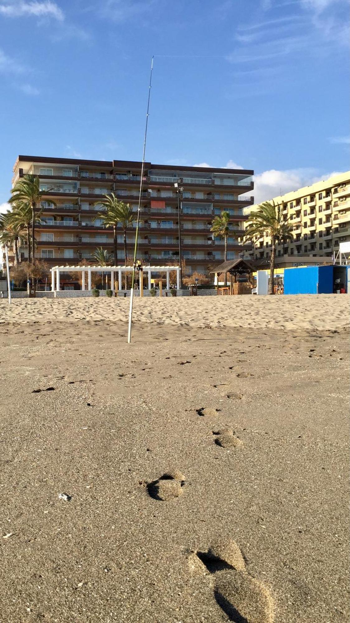 Palm Apartment, 1 Bedroom, Pool, Beautiful Garden, Parking *