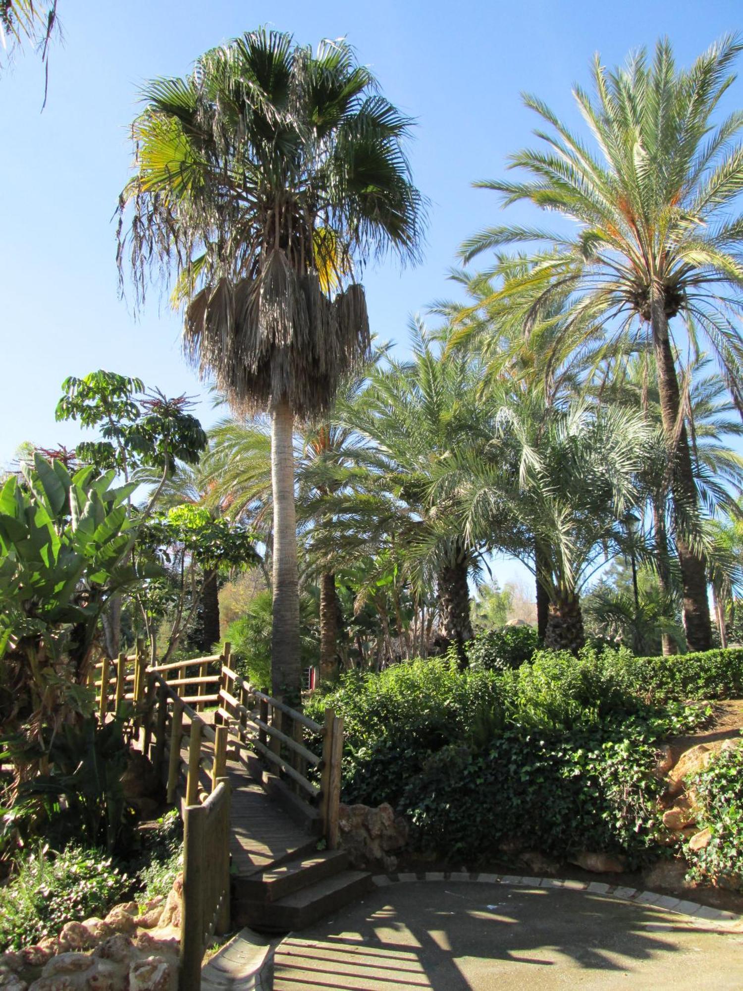 Los Boliches Beach By Ghr Fuengirola