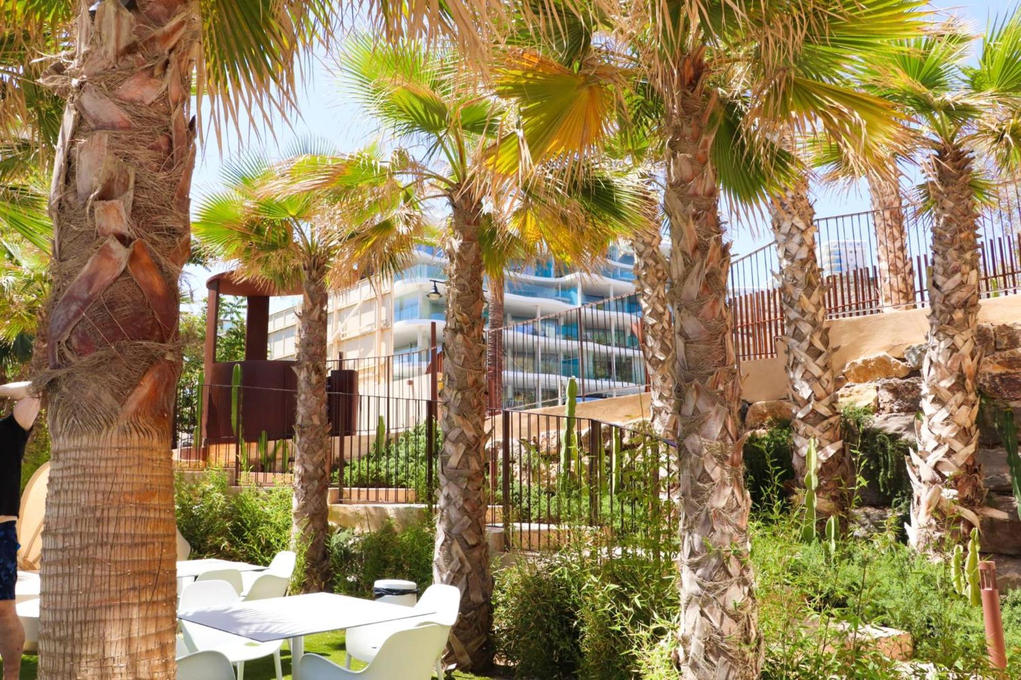 Fantastic In The Wave Just Steps From Carvajal - Pool And Free Parking Apartment *