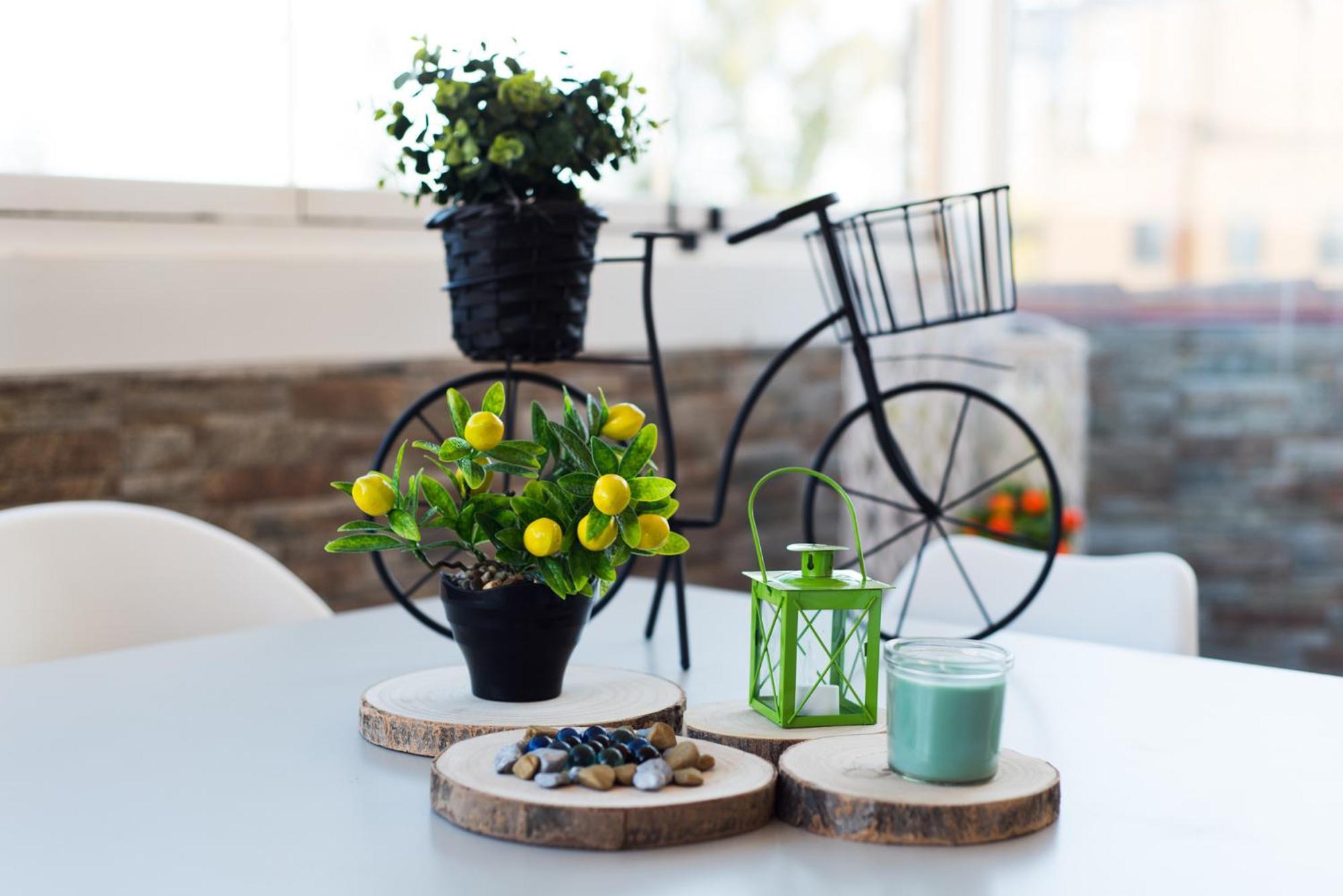 Bio Penthouse, South Terrace *
