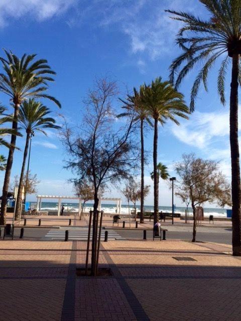 Palm Apartment, 1 Bedroom, Pool, Beautiful Garden, Parking Fuengirola