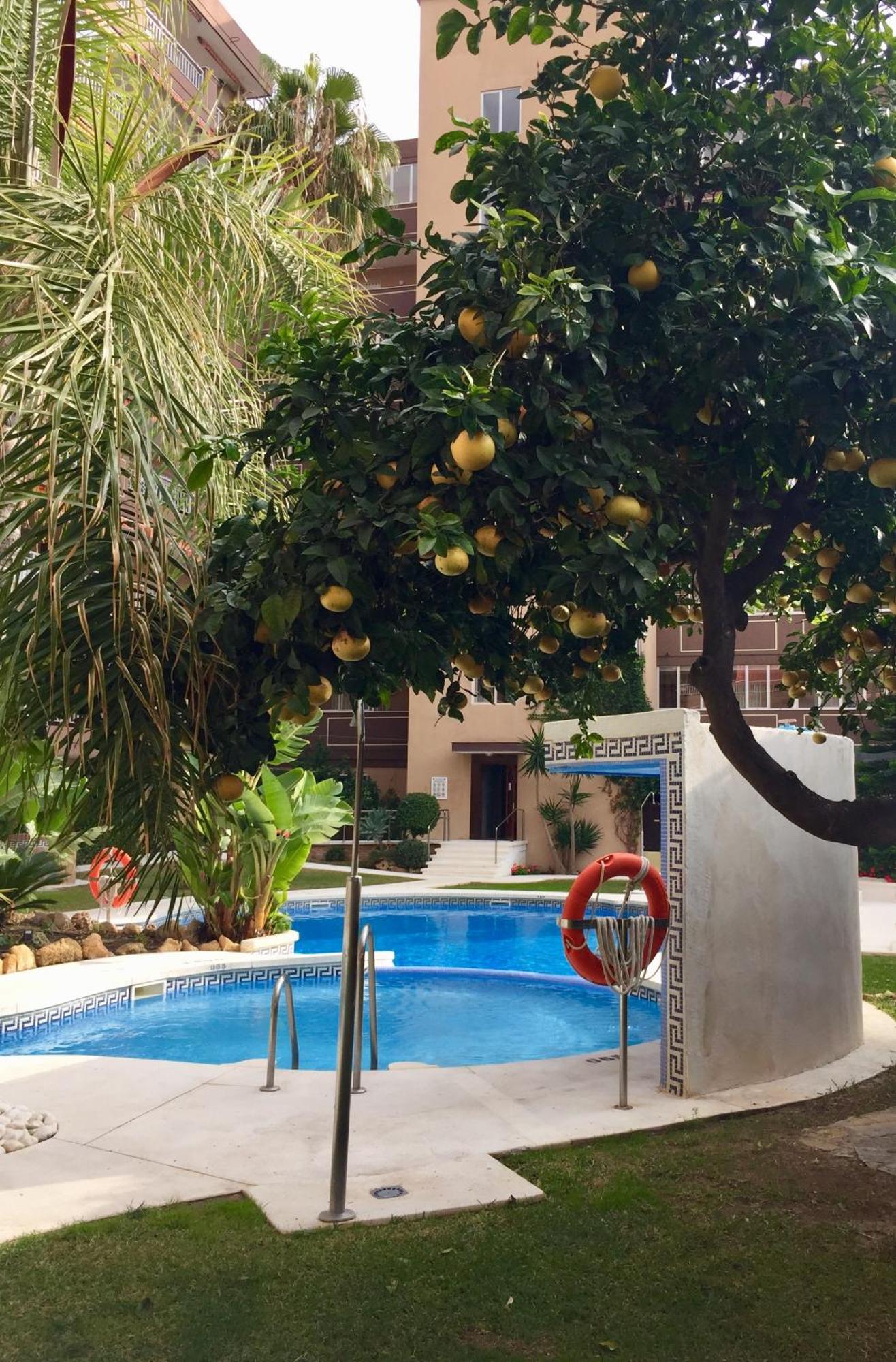 Apartment Palm Apartment, 1 Bedroom, Pool, Beautiful Garden, Parking Fuengirola
