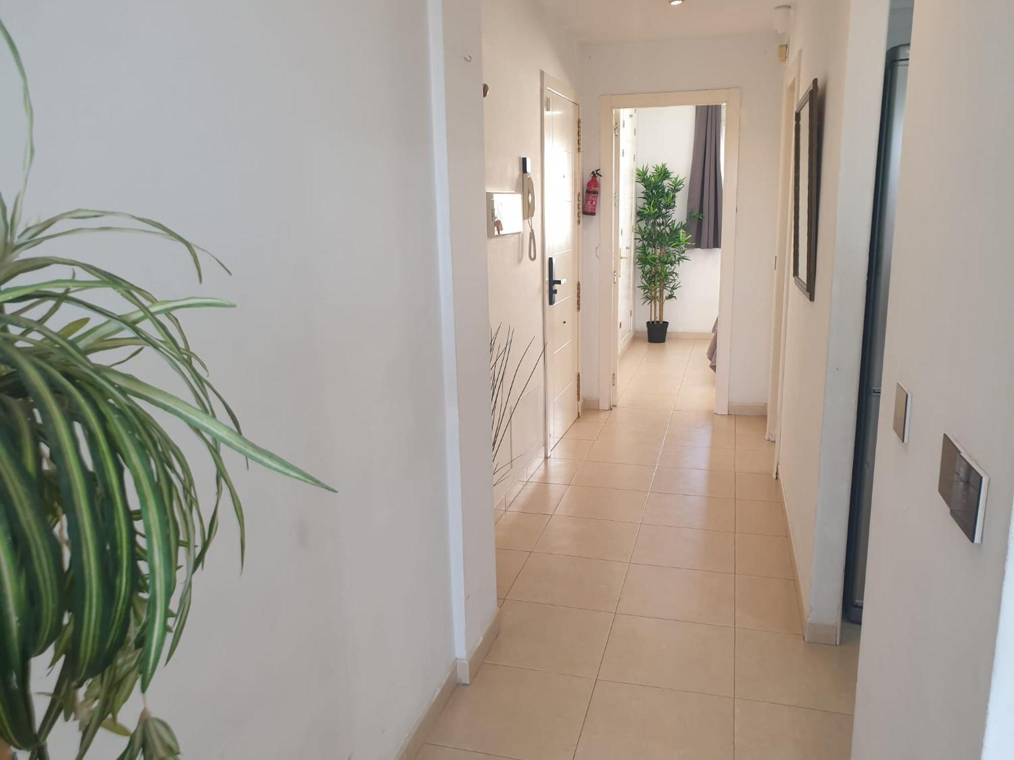 Acogedor Apartamento 2 Ovi Appartement