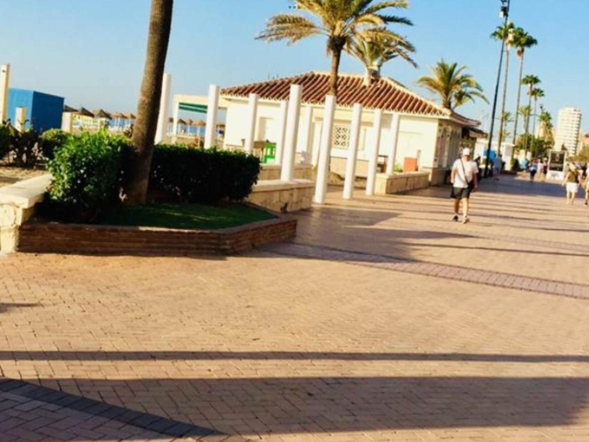 Palm Apartment, 1 Bedroom, Pool, Beautiful Garden, Parking *