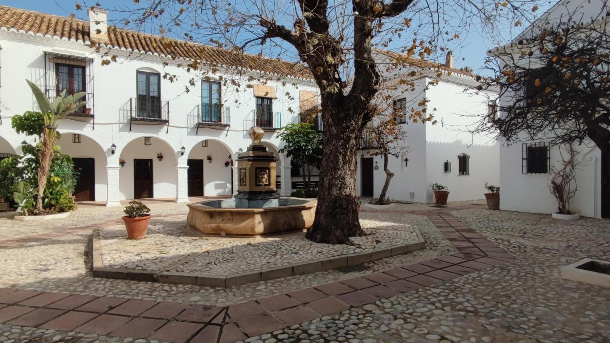 Apartment Terrace